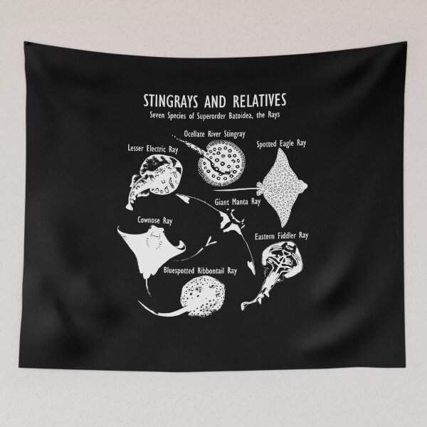Item preview, Stingray Species_ Manta Ray, River Stingray, and More designed and sold by nedrae.