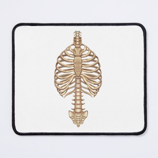 Item preview, Halloween Human Bones spinal column Skeleton Rib Cage designed and sold by Med ing.