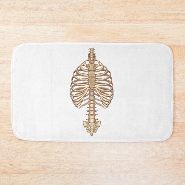 Item preview, Halloween Human Bones spinal column Skeleton Rib Cage  designed and sold by Med ing.