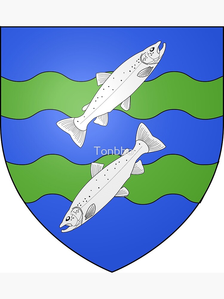 "Mont SaintMichel coat of arms, France" Canvas Print by Tonbbo Redbubble