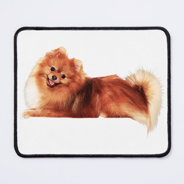 Item preview, Precious Pomeranian  designed and sold by doglovershirts.
