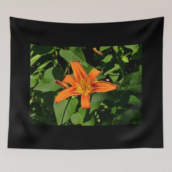 Item preview, Back Yard Bloom designed and sold by Lanis Rossi.