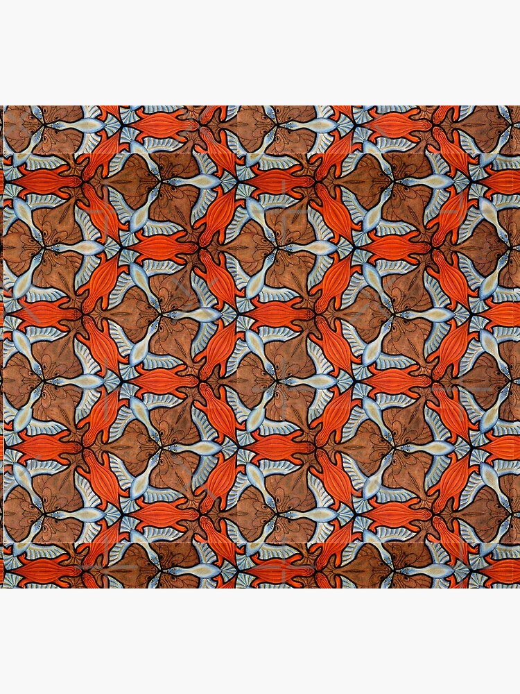 Disover Symmetry MC Escher Socks