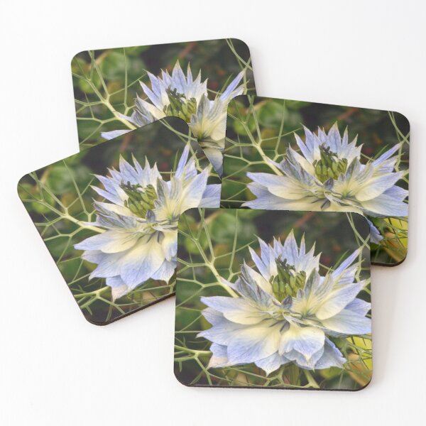 Item preview, Love-in-a-Mist (Nigella damascena) designed and sold by Chris Monks.