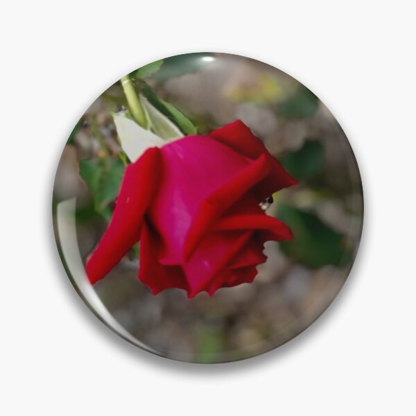 Item preview, Rosebud and Raindrop  designed and sold by KazM.