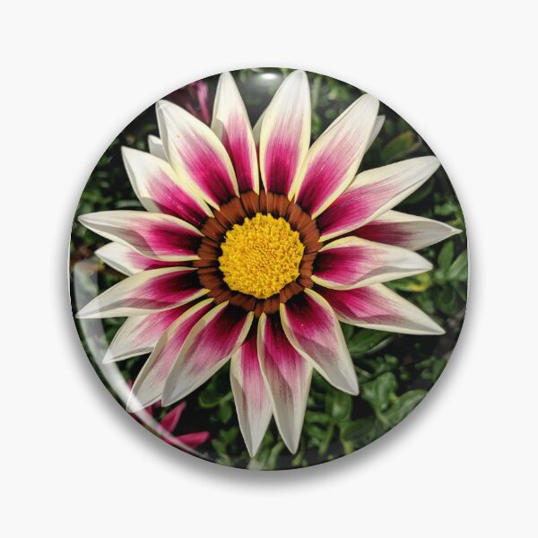 Item preview, Showstopper Bloom designed and sold by TavStone.