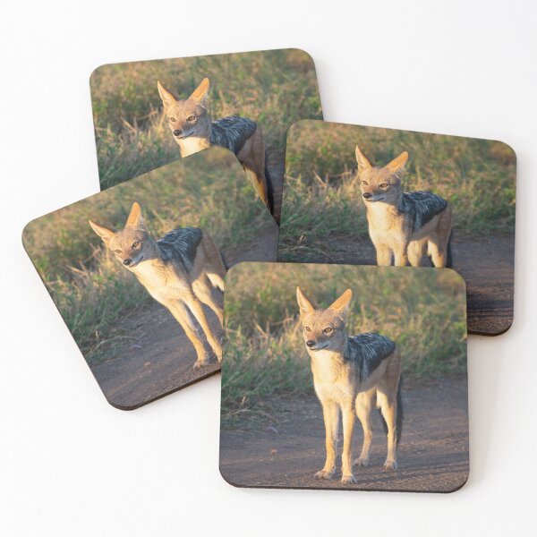 Item preview, Black Backed Jackal - Photographed in the Kruger National Park, South Africa designed and sold by Marlienart.