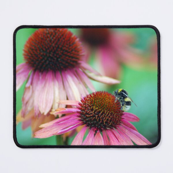 Item preview, Echinachea with bumblebee designed and sold by TavStone.