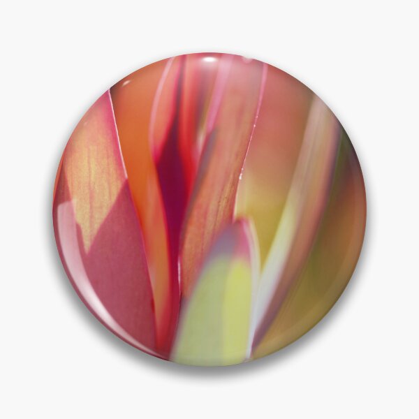 Item preview, Leucadendron - Touched by the Sun  designed and sold by imaginethis.