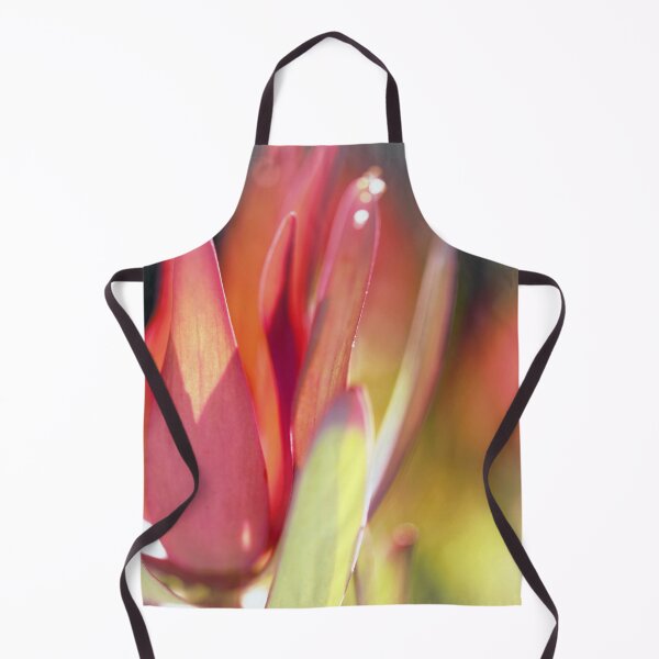 Item preview, Leucadendron - Touched by the Sun designed and sold by imaginethis.