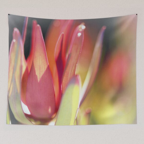 Item preview, Leucadendron - Touched by the Sun  designed and sold by imaginethis.