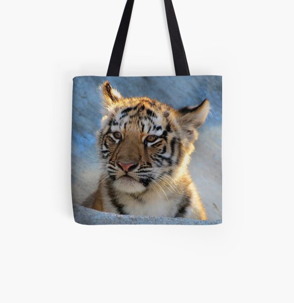 Baby Tiger Portrait All Over Print Tote Bag