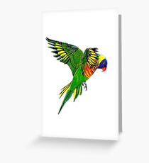 Rainbow Lorikeet Greeting Card