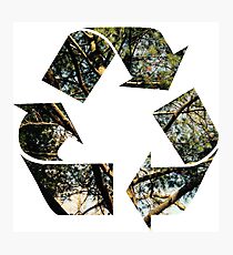 Ecology Photographic Print