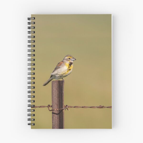 Item preview, Dickcissel 2017-4 designed and sold by Thomasyoung.