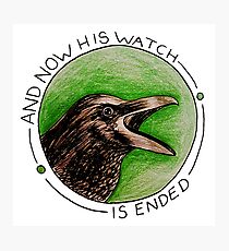 The Night's Watch Raven Photographic Print