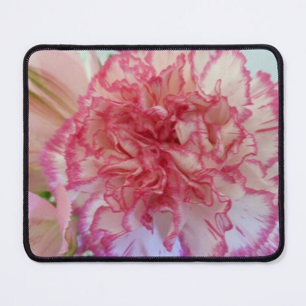 Item preview, Pink tipped carnation flower designed and sold by TavStone.