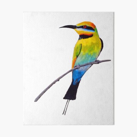 Bee-eater on Watercolor Paper 