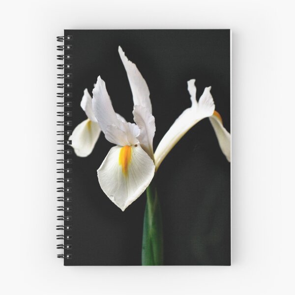 Item preview, White Iris designed and sold by Forfarlass.