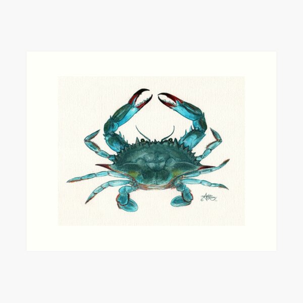 "Blue Crab" by Amber Marine, watercolor painting, © 2013 Art Print