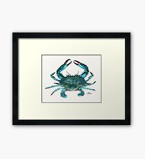 "Blue Crab" by Amber Marine, watercolor painting, © 2013 Framed Print