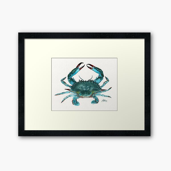 "Blue Crab" by Amber Marine, watercolor painting, © 2013 Framed Art Print