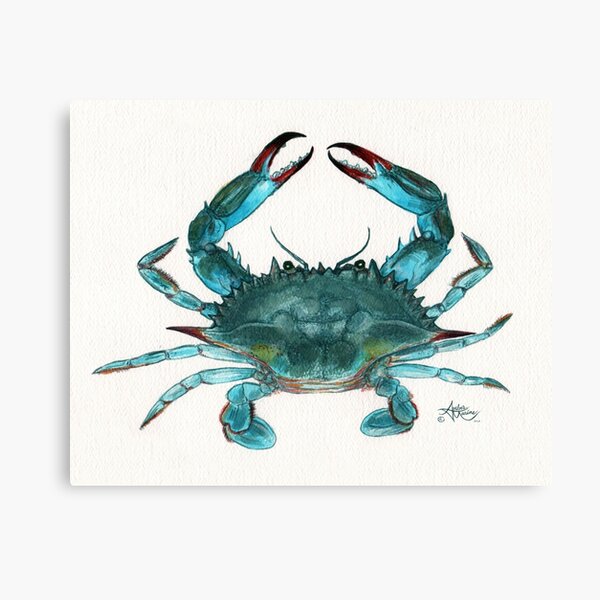 King Animal Rideaux de Douche Encre Splatter King Crab 