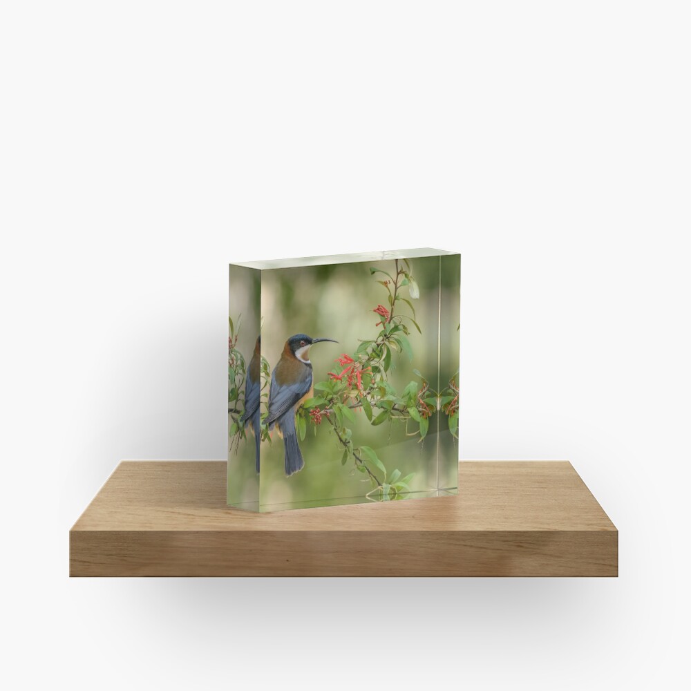 Item preview, Acrylic Block designed and sold by barrycallister.