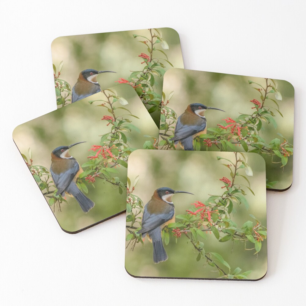Item preview, Coasters (Set of 4) designed and sold by barrycallister.