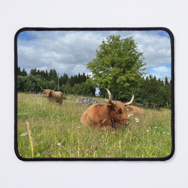 Item preview, Scottish Highland Cattle Cows 4002 designed and sold by SaarelaHighland.