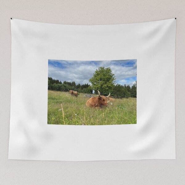 Item preview, Scottish Highland Cattle Cows 4002 designed and sold by SaarelaHighland.