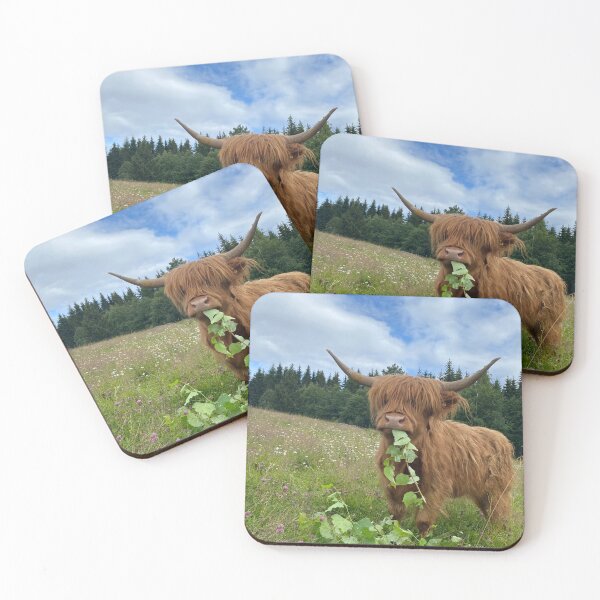 Artikelvorschau, Scottish Highland Cattle Cow eating leaves 4003 entworfen und verkauft von SaarelaHighland.