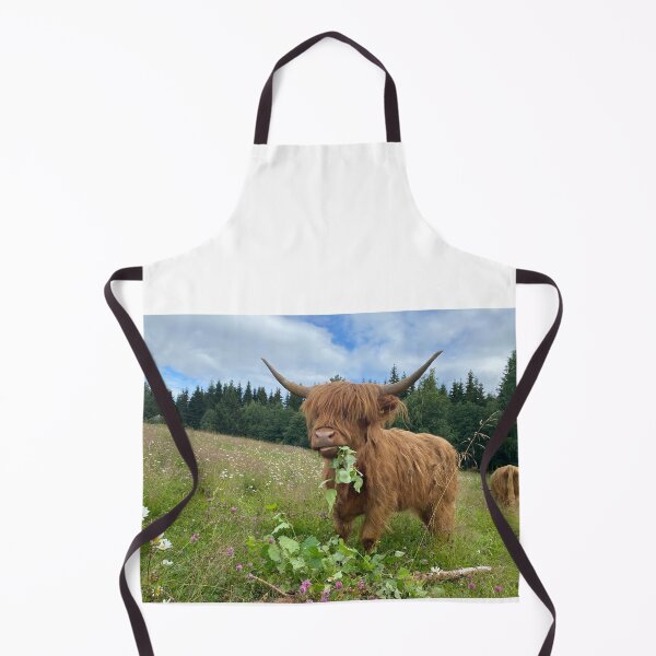 Aperçu de l'œuvre Scottish Highland Cattle Cow eating leaves 4004 créée et vendue par SaarelaHighland.