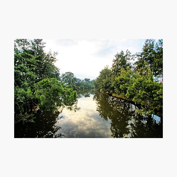 Item preview, Nepean river, Kirkham. designed and sold by Ian Ramsay.