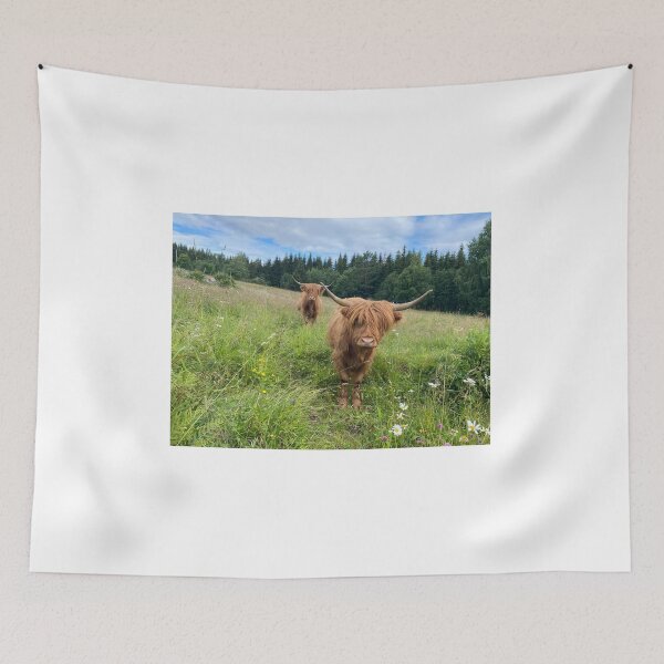Item preview, Scottish Highland Cattle Cows 4005 designed and sold by SaarelaHighland.