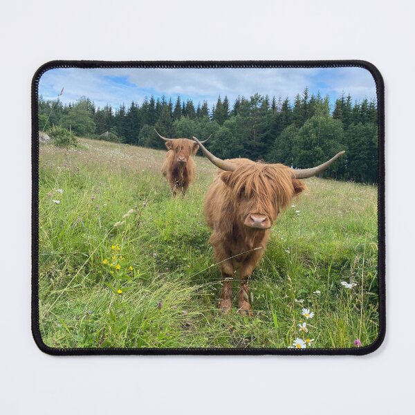 Item preview, Scottish Highland Cattle Cows 4005 designed and sold by SaarelaHighland.