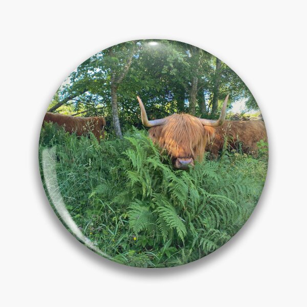 Item preview, Scottish Highland Cattle Cow 4006 designed and sold by SaarelaHighland.