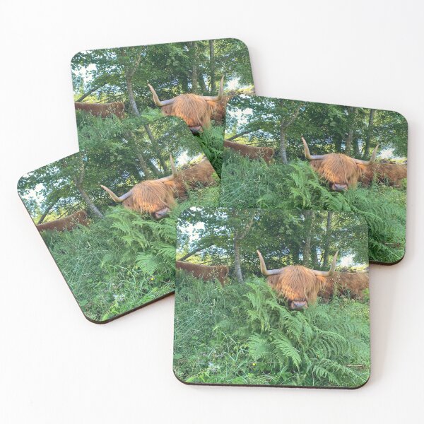 Item preview, Scottish Highland Cattle Cow 4006 designed and sold by SaarelaHighland.