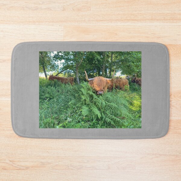 Item preview, Scottish Highland Cattle Cow 4006 designed and sold by SaarelaHighland.