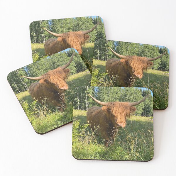 Item preview, Scottish Highland Cattle Cow 4007 designed and sold by SaarelaHighland.