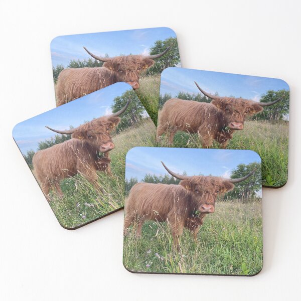 Artikelvorschau, Scottish Highland Cattle Cow 4011 entworfen und verkauft von SaarelaHighland.