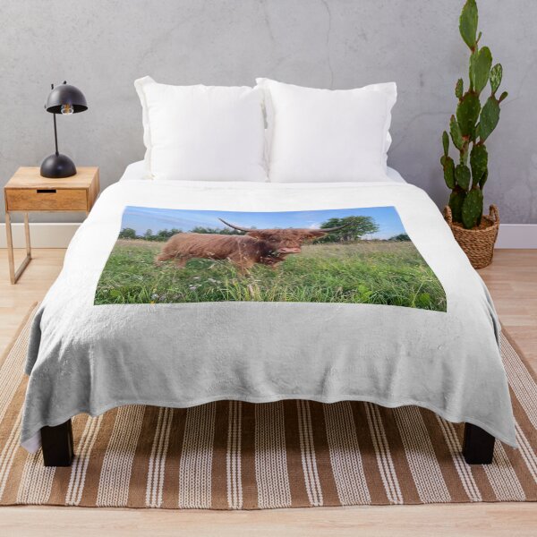 Artikelvorschau, Scottish Highland Cattle Cow 4011 entworfen und verkauft von SaarelaHighland.