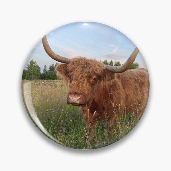 Artikelvorschau, Scottish Highland Cattle Cow 4013 entworfen und verkauft von SaarelaHighland.
