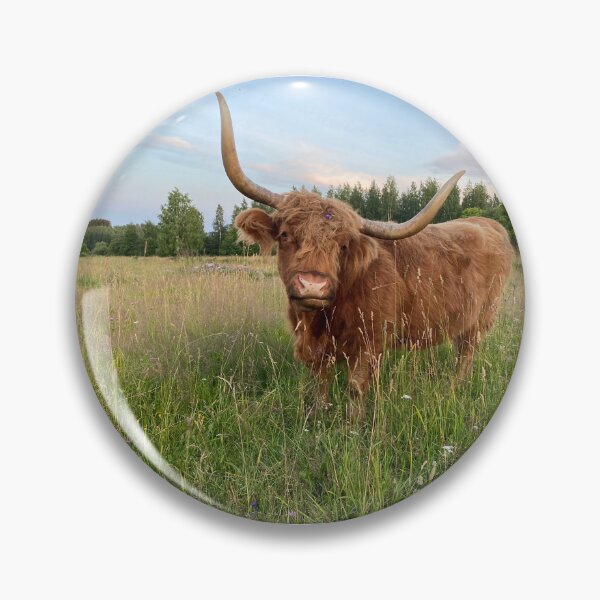 Item preview, Scottish Highland Cattle Cow 4014 designed and sold by SaarelaHighland.