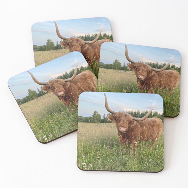 Item preview, Scottish Highland Cattle Cow 4014 designed and sold by SaarelaHighland.