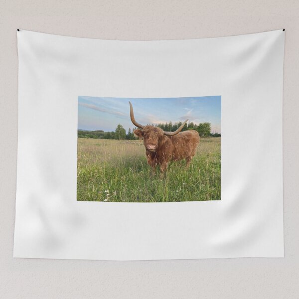 Item preview, Scottish Highland Cattle Cow 4014 designed and sold by SaarelaHighland.