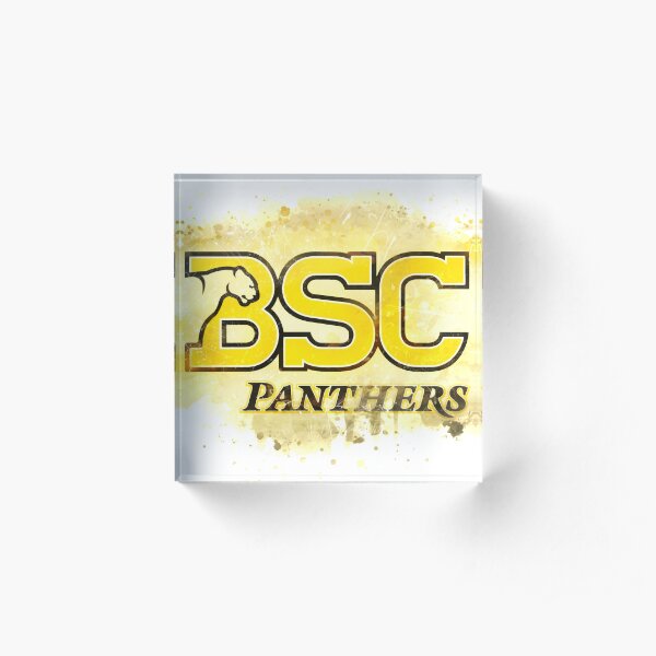 Birmingham-Southern College Rustic Watercolor Logo Acrylic Block