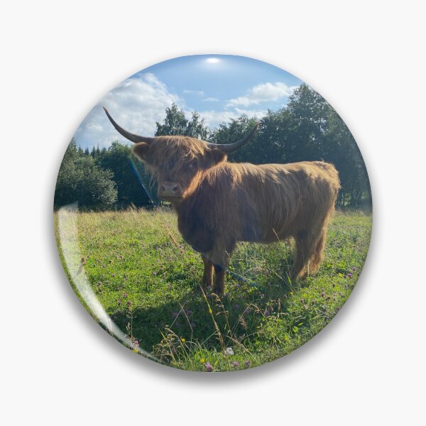 Artikelvorschau, Scottish Highland Cattle Cow 4016 entworfen und verkauft von SaarelaHighland.