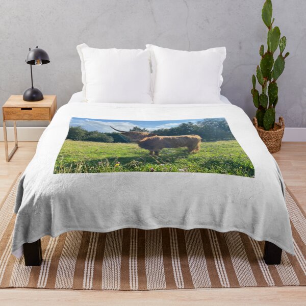 Aperçu de l'œuvre Scottish Highland Cattle Cow 4016 créée et vendue par SaarelaHighland.