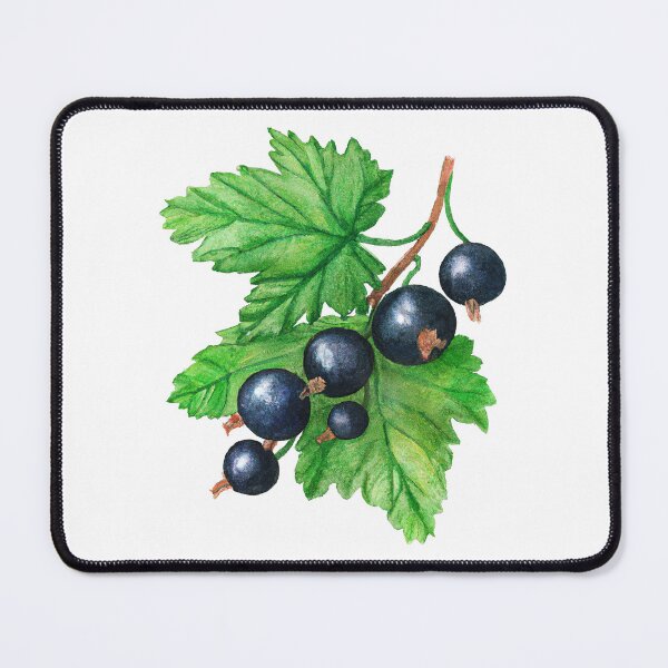 Item preview, Blackcurrant designed and sold by Kaamalauppias.